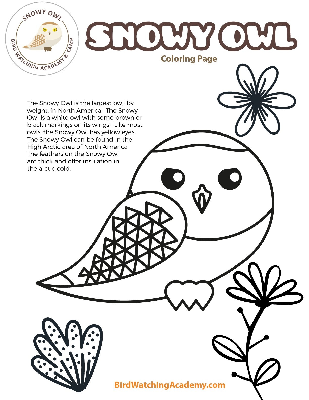 Free Coloring Pages Owls