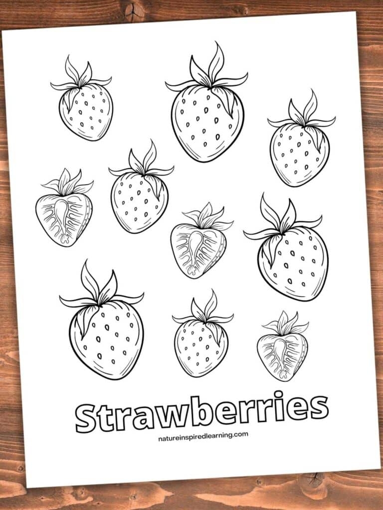 Strawberry Printable Coloring Pages