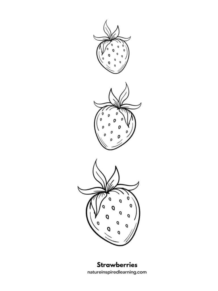 Strawberry Coloring Pages Nature Inspired Learning