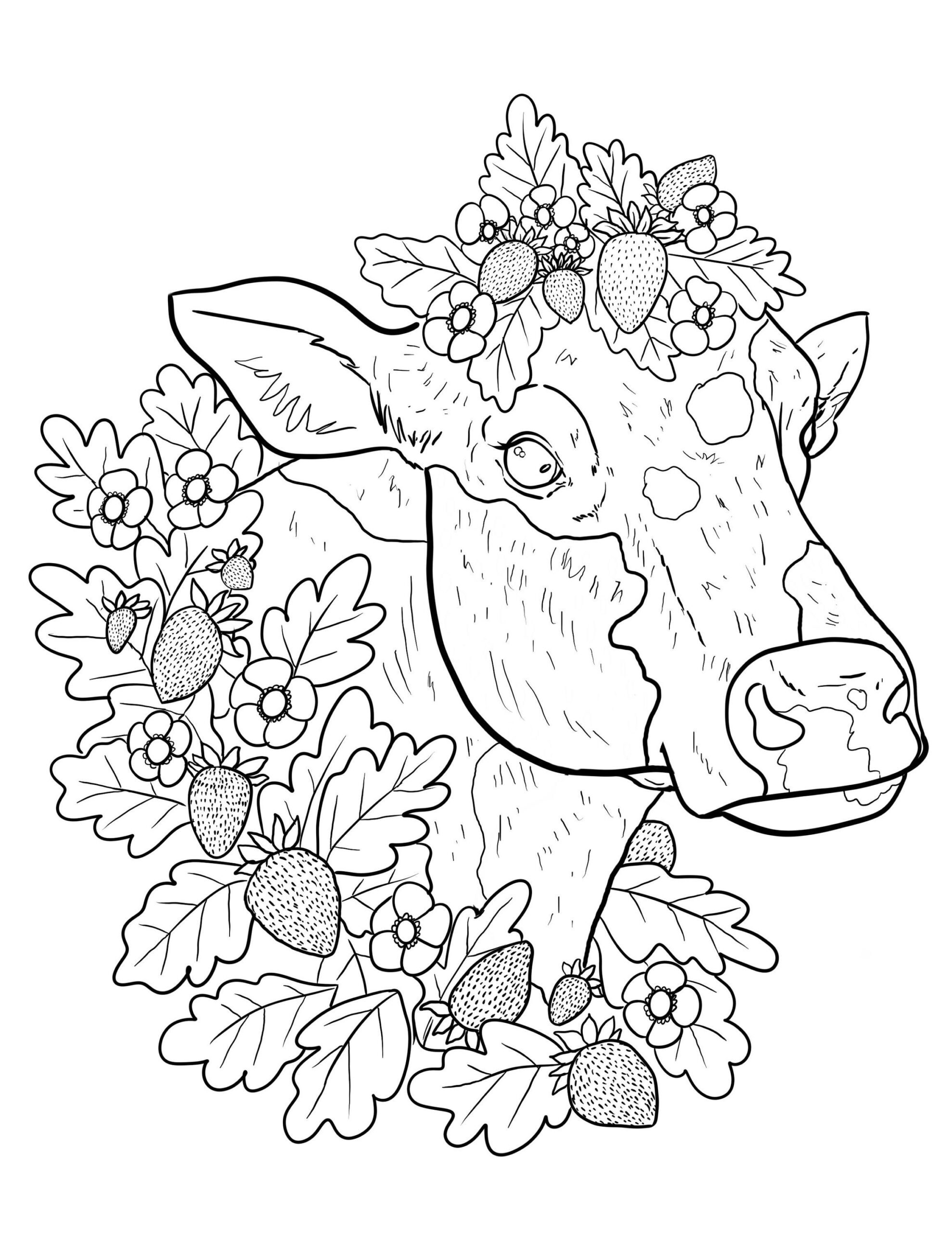 Printable Cow Coloring Pages